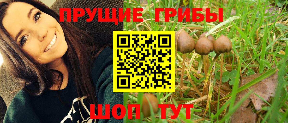 Галлюциногенные грибы ЛСД  Галлюциногенные грибы GOLDEN TEACHER  Туапсе  купить закладку  Вход с VPN 